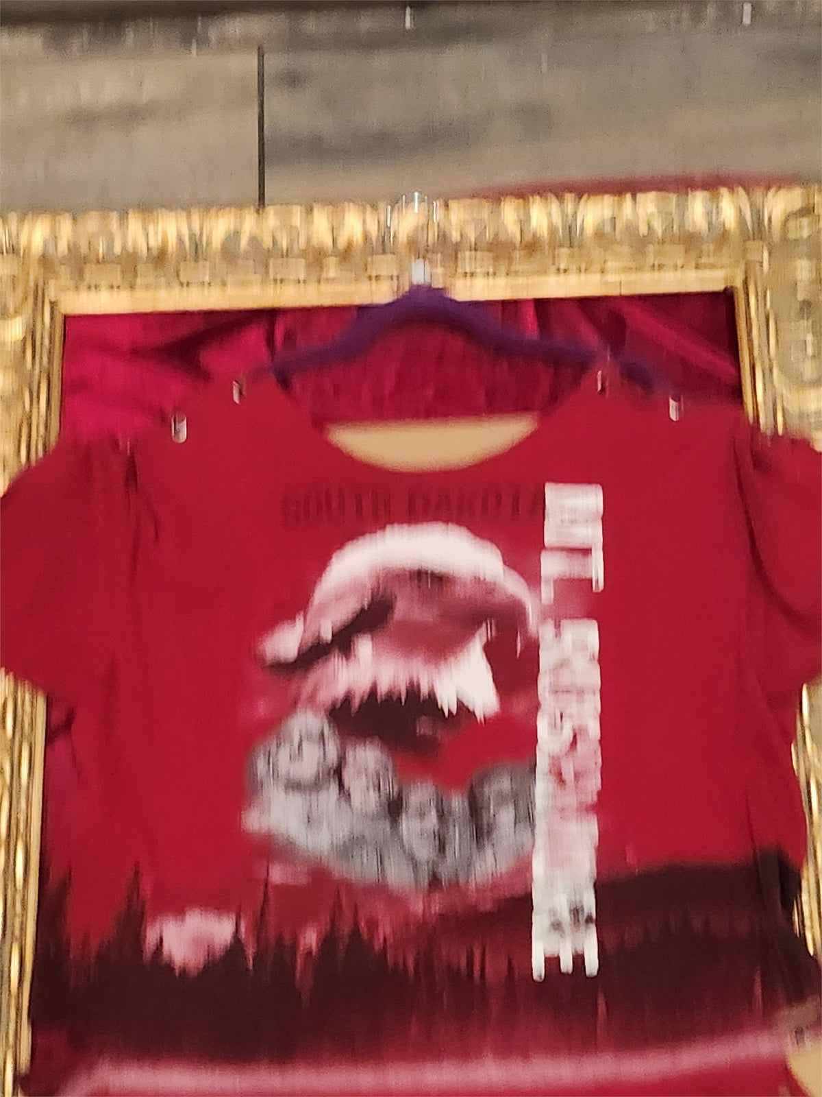 One-of-a-Kind South Dakota Reworked Shirt – Size L